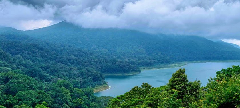 Narpuh Reserved Forest